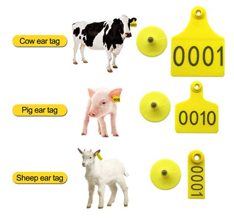 custom rfid cattle tracking|rfid cattle ear tags.